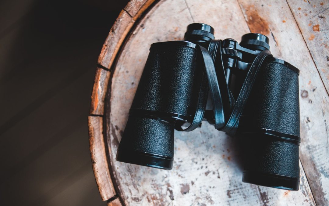 A Hunter’s Vision: Finding the Perfect Binoculars for Clarity and Range